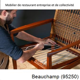 Refection de chaises Beauchamp-95250