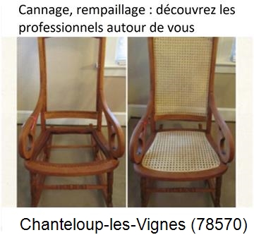 Cannage de chaise, fauteuil à Chanteloup-les-Vignes-78570