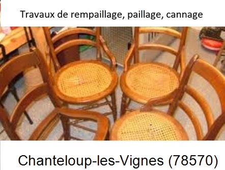 Artisan Tapissier à Chanteloup-les-Vignes-78570