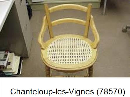 Chaise restaurée Chanteloup-les-Vignes-78570