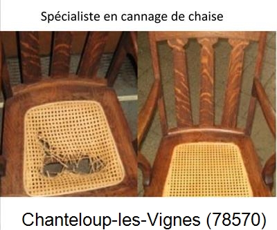 Refection à Chanteloup-les-Vignes-78570