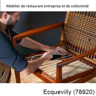 Refection de chaises Ecquevilly-78920