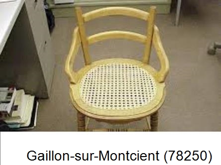 Artisan Rempailleur Gaillon-sur-Montcient-78250