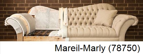 restauration chaise Mareil-Marly-78750
