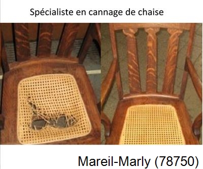 Refection à Mareil-Marly-78750