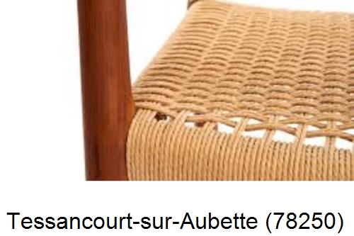 Refection de chaises Tessancourt-sur-Aubette-78250