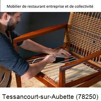 Artisan tapissier, reparation chaise à Tessancourt-sur-Aubette-78250