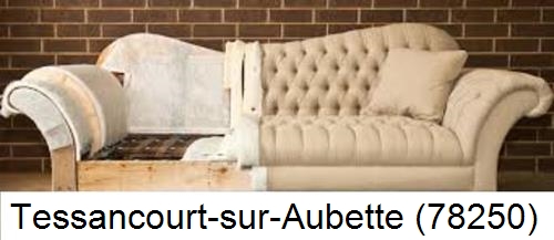 entreprise de restauration canapé Tessancourt-sur-Aubette (78250)